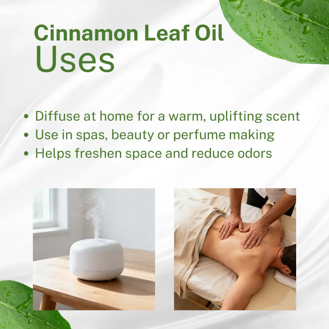 Ceylon Cinnamon Leaf Oil Uses
